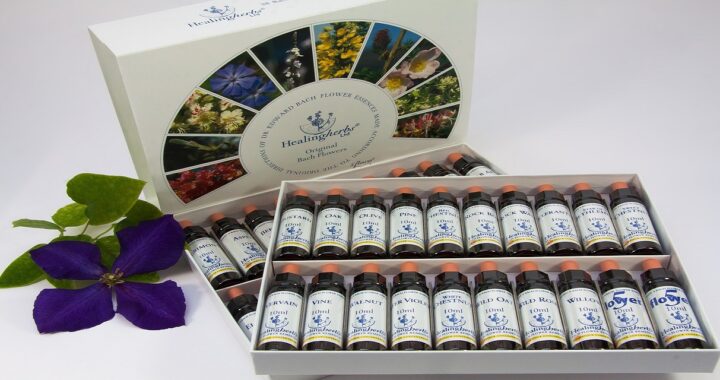 Les Fleurs de Bach pour l'équilibre émotionnel. Découvrez le pouvoir des Fleurs de Bach
