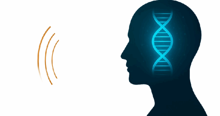 L'impact de l'environnement sur les gènes. Article sur l'Impact de l’EFT sur vos gènes