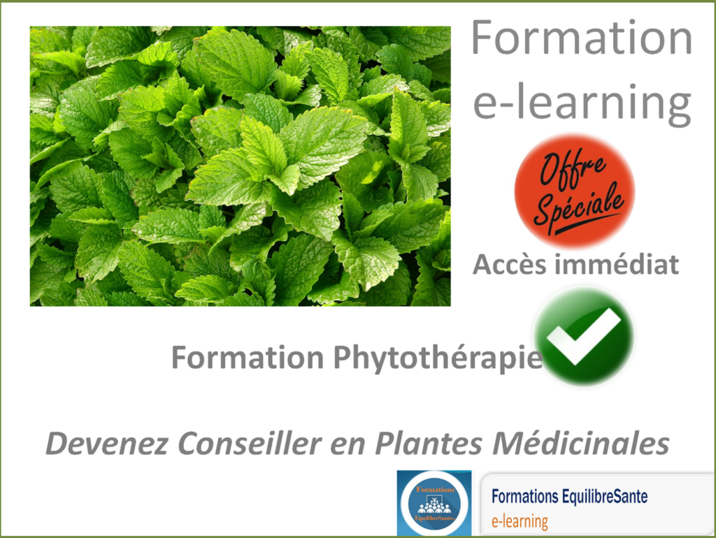 Formation phytothérapie, devenez conseiller en plantes médicinales