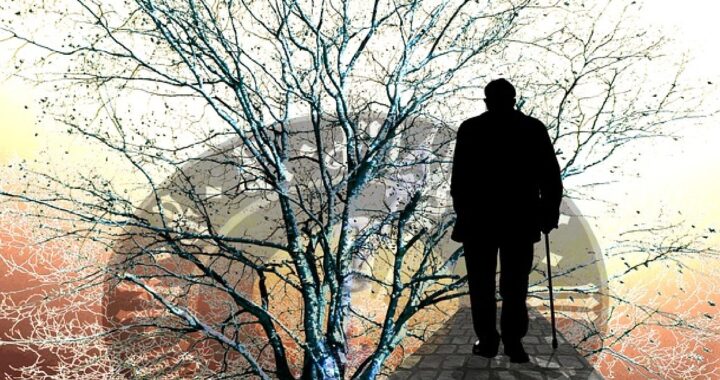 Accompagner le malade alzheimer. Stress et risque de Maladie d'Alzheimer