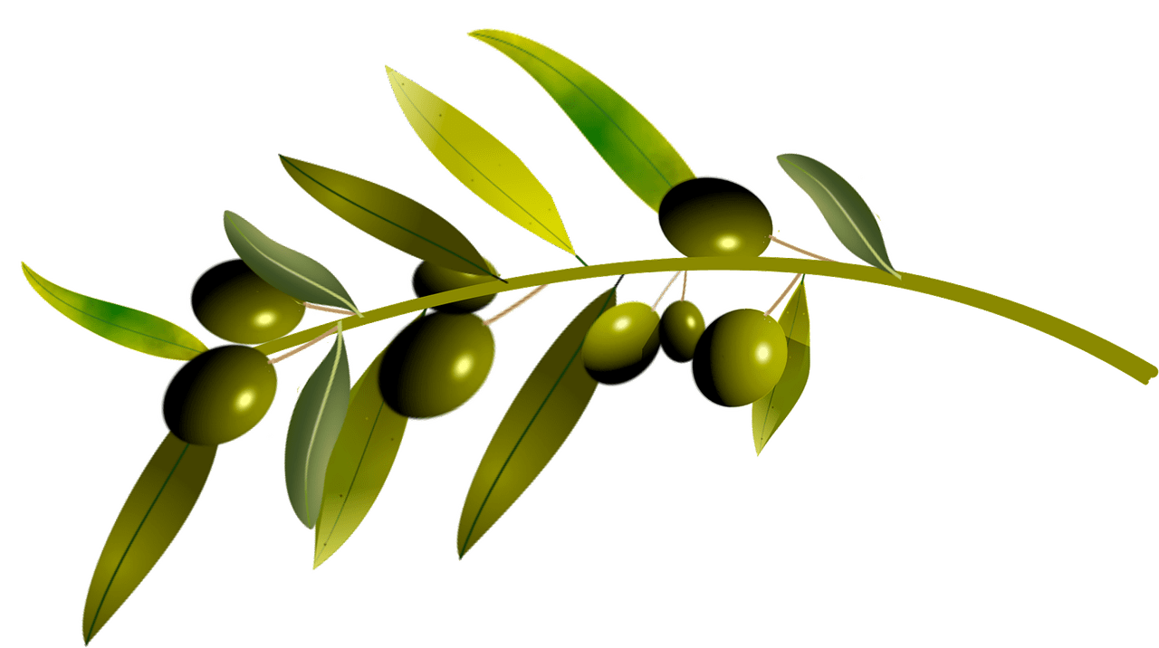 L'huile d'Olive est bonne pour la santé...