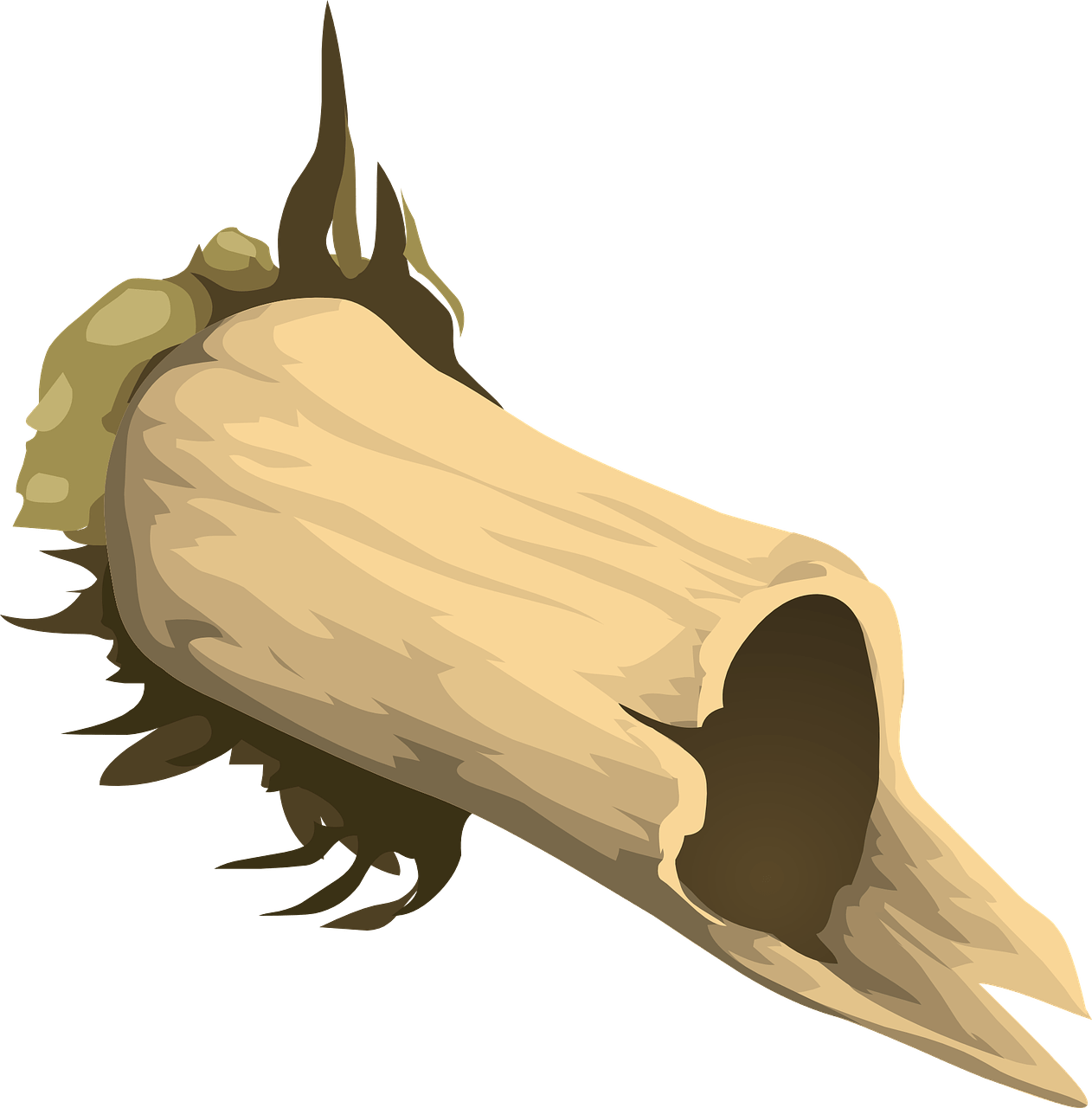 Boire du lait favorise les fractures. Plus de fractures et plus de décès quand on boit du lait.