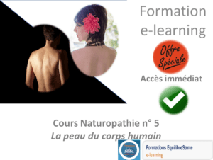 Formation naturopathie en ligne anatomie la peau