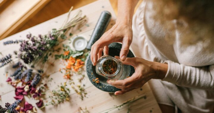 Plantes médicinales