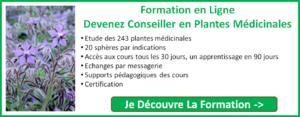 Formation phytothérapie en ligne