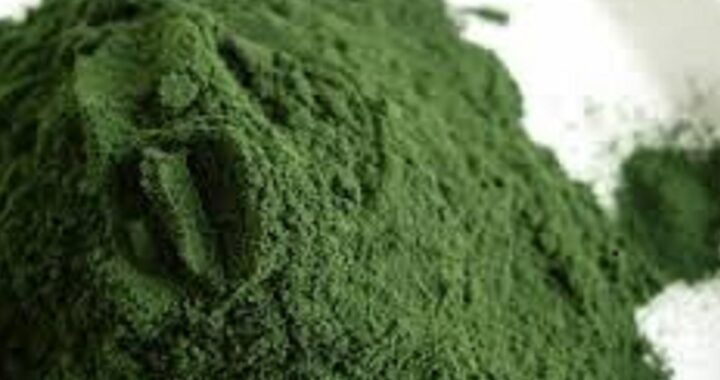 La Spiruline : un aliment complet aux propriétés exceptionnelles