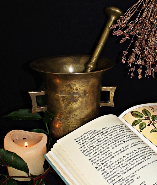 Formation elearning naturopathie moderne