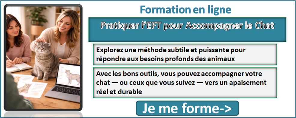 Formation EFT sur le chat