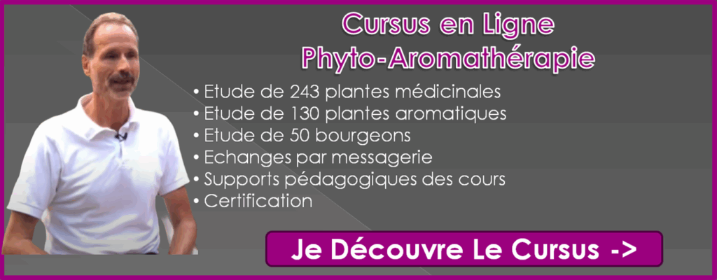 Formation en ligne phyto aromathérapie