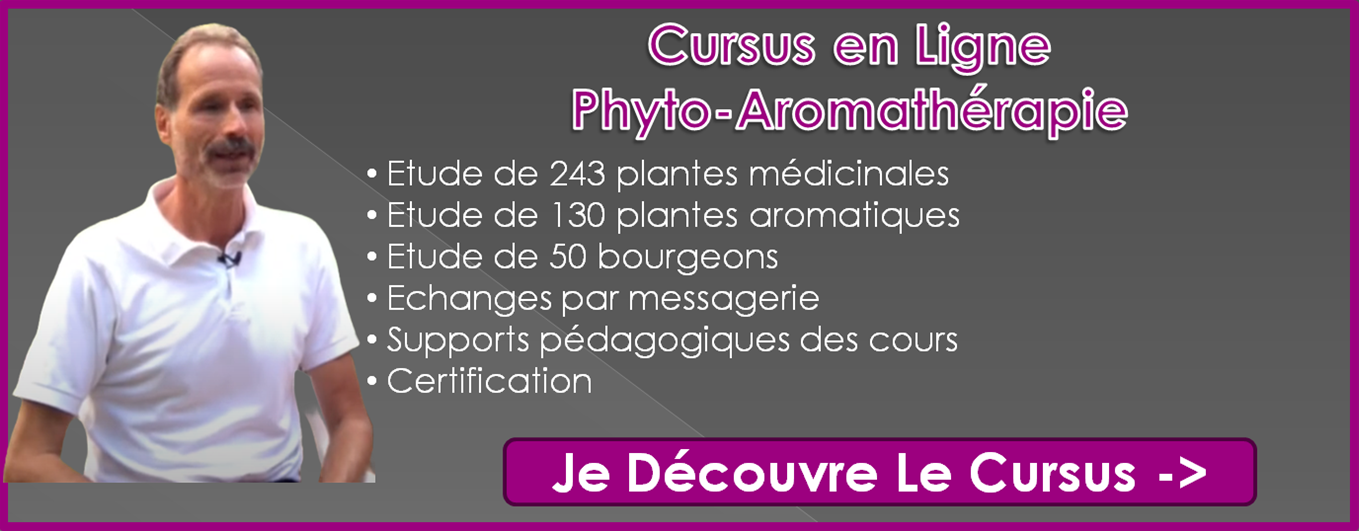 Formation en ligne phyto aromathérapie