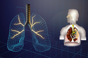 Formation naturopathie le système cardio-respiratoire