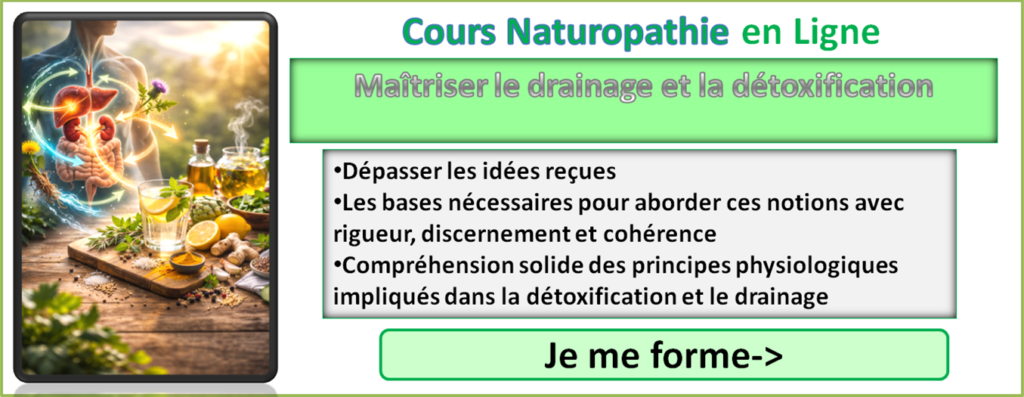Formation en ligne Drainage et détoxification