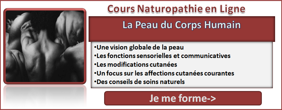 Formation en ligne les problèmes de peau